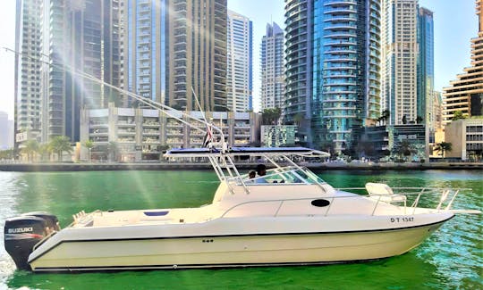 Boat Tour Dubai / Private Boat Tour in Dubai / Dubai Marina Boat Tour /