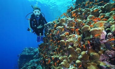 Merveilleuse aventure de plongée sous-marine à Ankara, en Turquie