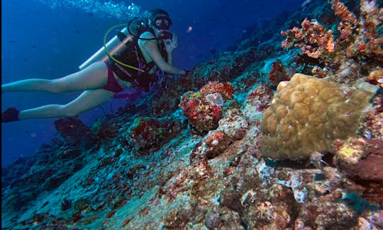Plan Your Scuba Diving Holiday In Bodufolhudhoo, Maldives!