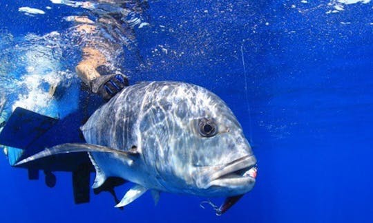 5 Days Fishing at Nembrala, Indonesia On 7.5m Center Console