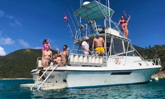 Scuba Diving charters in St. Thomas