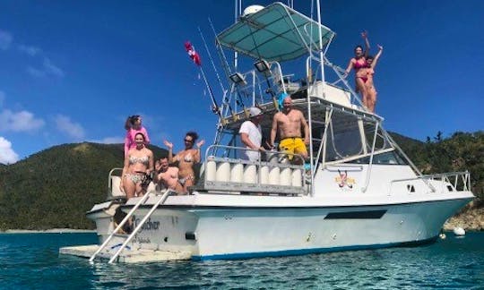 Scuba Diving charters in St. Thomas