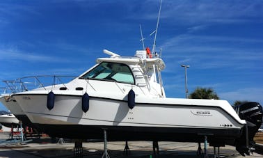 Location de Boston Whaler Fisherman dans le Salento - Big Game Fishing