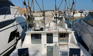 Alquiler de barcos de pesca en Gobernación del Mar Rojo