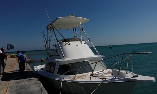 Fishing Boats rental in Red Sea Governorate