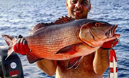 Fishing Boats rental in Red Sea Governorate