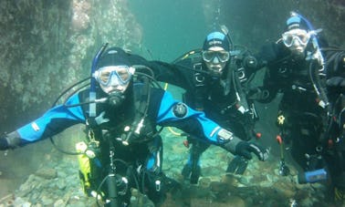 Scuba Diving Trip in Møre og Romsdal, Norway