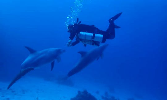Experience A Quality Diving Trip With Us!