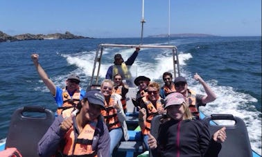 Excursion culturelle et baleinière de 2 jours au départ de La Serena, au Chili