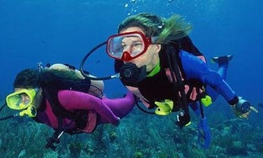 Guided Diving Adventure in Nahariyya, Israel!