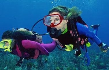 Guided Diving Adventure in Nahariyya, Israel!
