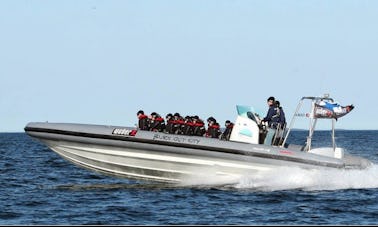 Location d'un RIB de 36' à Kristiansand, Norvège