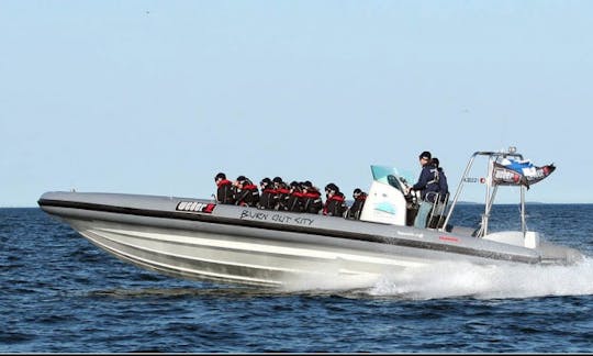 36' RIB rental In Kristiansand, Norway