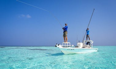 Experience A One-of-a-kind Fishing Holiday In Maldives!