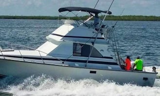 Cancún Fishing Charter for 6 people onboard 31' Bertram Sportfishing Yacht