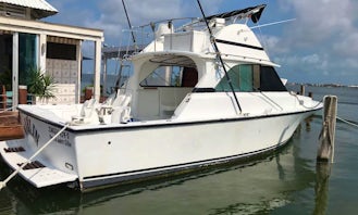 Bertram 35 Fishing Boats for 8 People in Cancún
