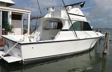 Bertram 35 Fishing Boats for 8 People in Cancún, Mexico