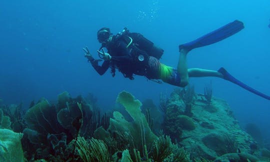 Go Diving In Basse-Terre, Guadeloupe!