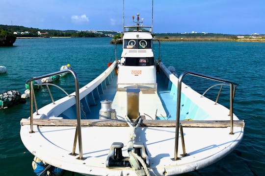 Short Trolling Adventure in Okinawa- Private Charter (4 hours)