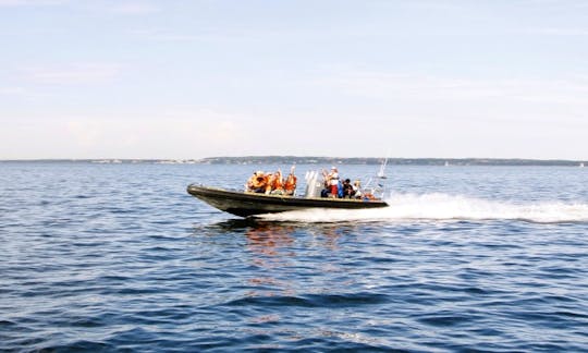 12 Seater Ridas 36 Inflatable Boat in Estonia, Tallinn