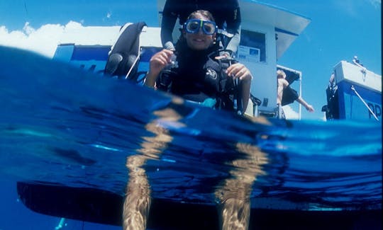 Excursão de mergulho com snorkel na Reserva Cousteau - Guadalupe