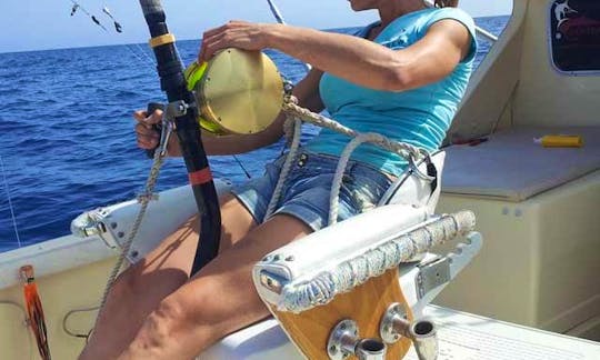 Bertram 31 Sportfishing Yacht Charter in Canary Islands