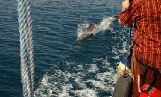 Traditional Omani Dhow Boat Cruises on the Historical Telegraphic Island