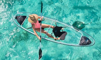 Guided Clear Kayak Tour for 3 Hours in Key West, Florida