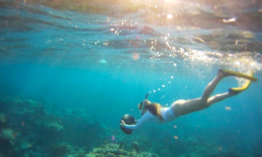 Kayak and Snorkeling Eco -Trips in Islamorada or Key West