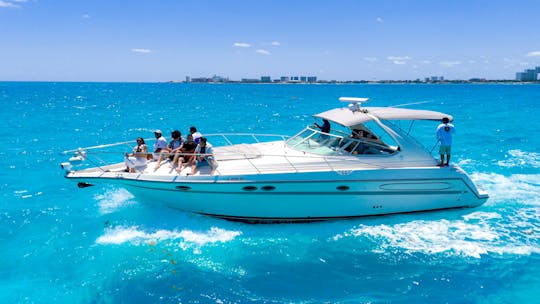 Isla mujeres - Cancún on Maxum 41ft Motor Yacht