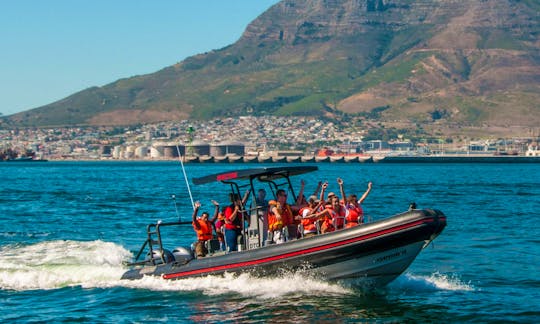 Spectre: RIB for Private Charter hire Cape Town