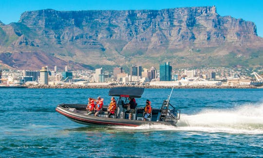 Spectre: RIB for Private Charter hire Cape Town