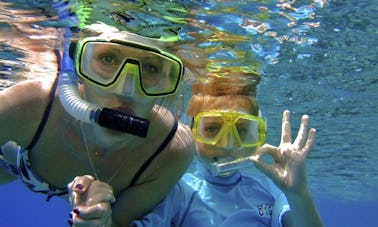 Excursão de mergulho com snorkel no Mar Vermelho de Prestine