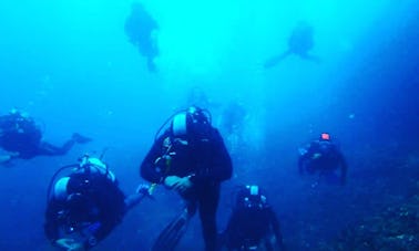 Enjoy Diving with Experienced Divers In Tyulenovo, Bulgaria