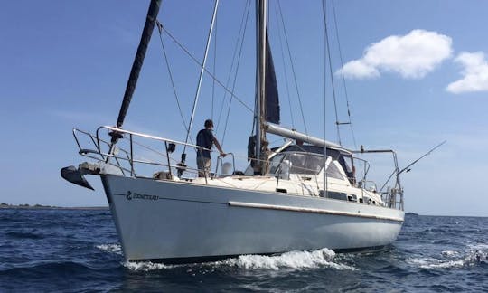 Half day sailing trip in Sal, Cape Verde, on a BENETEAU 40 