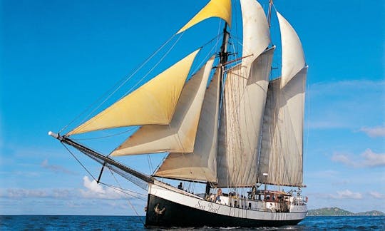 Sea Pearl sails