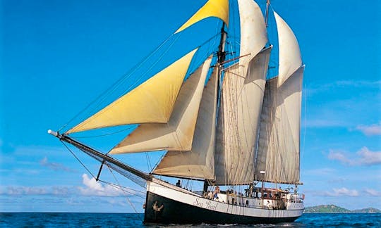 Sea Pearl sails