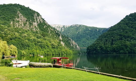 Center Console Rental for Up to 11 People in Eșelnița, Romania