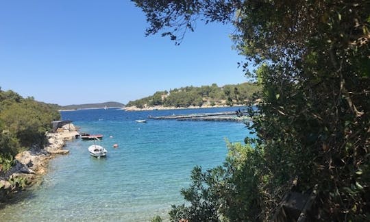 Small bay of Šesula invites us for Lunch, grilled Fish with local olive oil and vine.