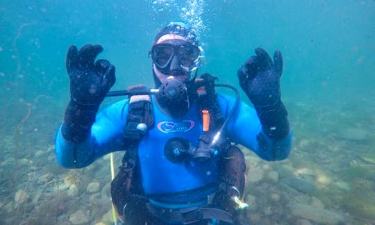 Diving Courses in Stromness, Scotland