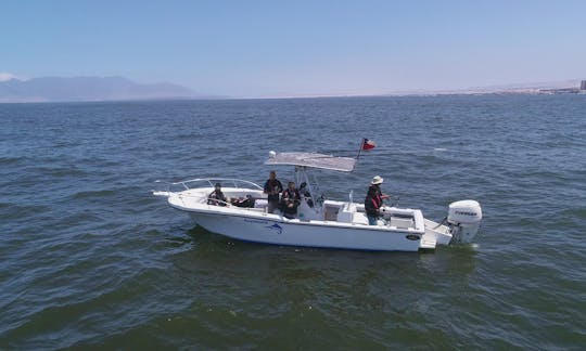 Private Boat Tour in Antofagasta Coast onboard the Dusky 265 Center Console