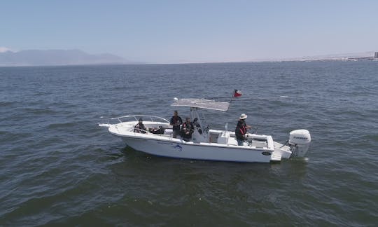 Private Boat Tour in Antofagasta Coast onboard the Dusky 265 Center Console