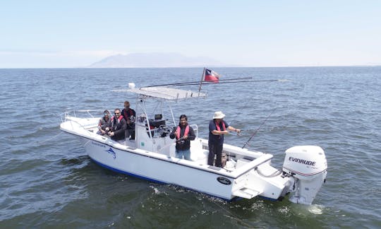 Private Boat Tour in Antofagasta Coast onboard the Dusky 265 Center Console