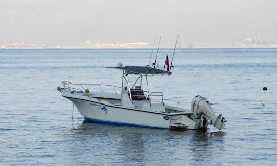 Private Boat Tour in Antofagasta Coast onboard the Dusky 265 Center Console