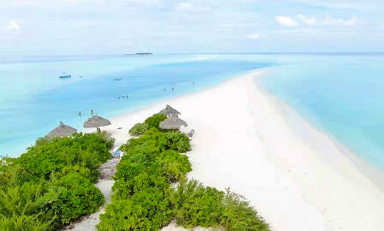 Visit, Stay and Experience Thoddoo Island in Maldives!