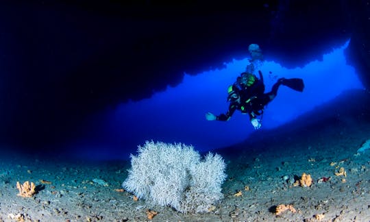 Discover Scuba Diving in Vasiliki, Greece