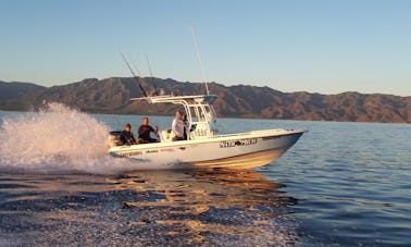 メキシコのロスバリレスにあるエバーグレーズ223スポーツフィッシャーマンズヨットでの釣り旅行