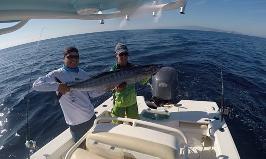 Viaje de pesca en el yate Everglades 223 Sportsfishermans en Los Barriles, México