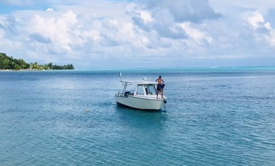 プライベートボートでの2回のタンクダイブ-ボラボラ島での4時間の旅！