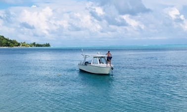 2 mergulhos em tanque em barco particular - 4 horas de viagem em Bora Bora!